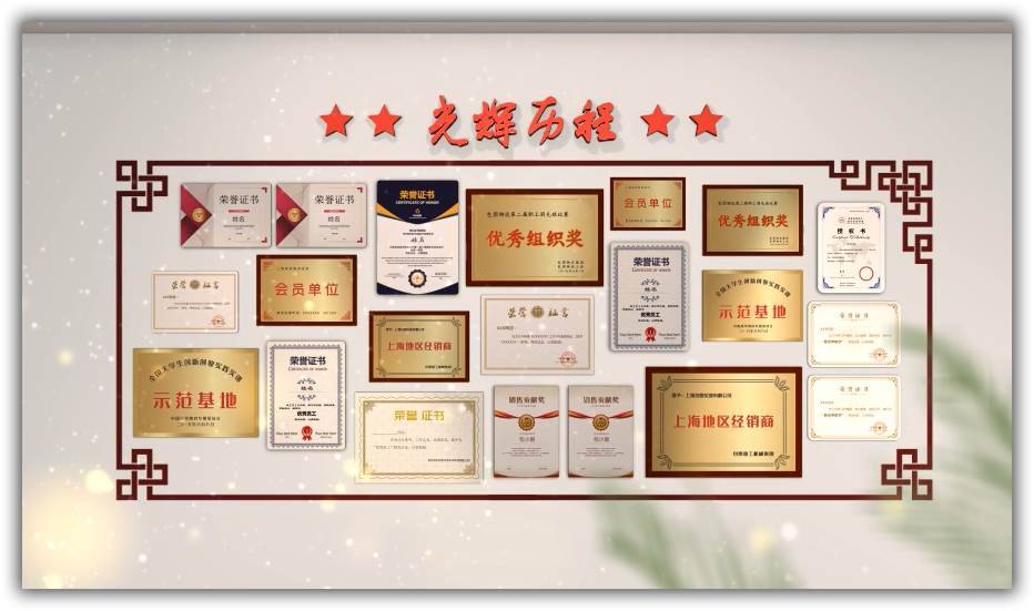 大气党政荣誉墙照片证书展示ae模板
