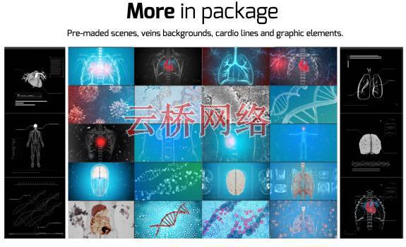 700种医疗生物科学人体骨骼器官DNA细胞动画元素 AtomX 破解版 AE软件插件-第10张