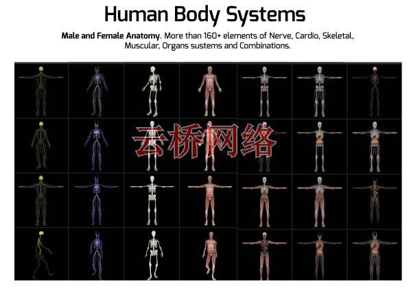 700种医疗生物科学人体骨骼器官DNA细胞动画元素 AtomX 破解版 AE软件插件-第3张