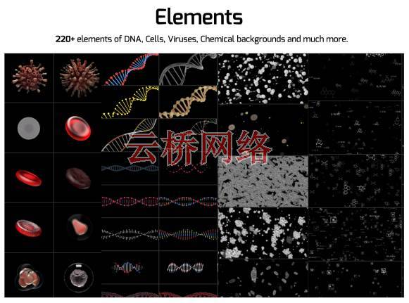 700种医疗生物科学人体骨骼器官DNA细胞动画元素 AtomX 破解版 AE软件插件-第8张