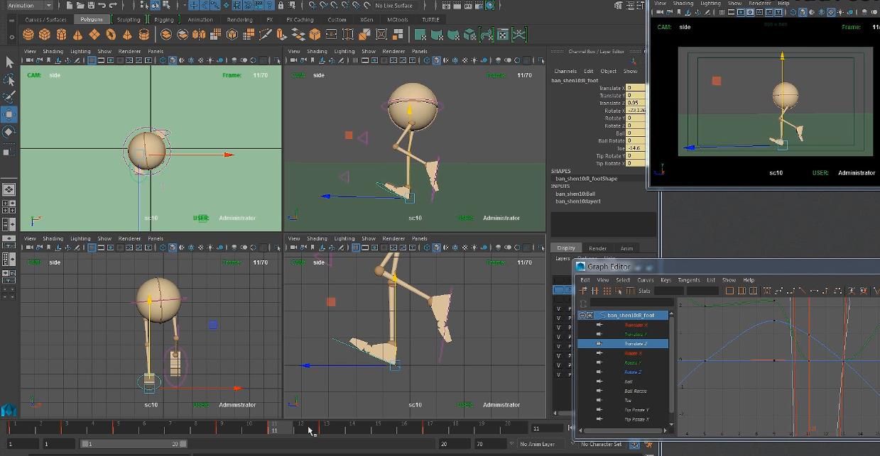 maya制作动画短视频 掌握好这十二个制作思路，你也能用Maya快速制作群体飞鸟的动画