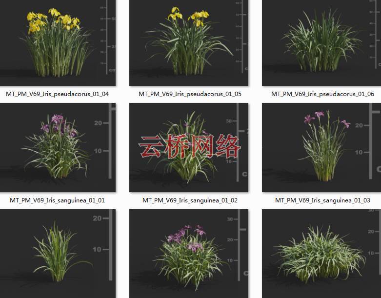 水生植物花草模型包Maxtree – Plant Models Vol 69_云桥网络