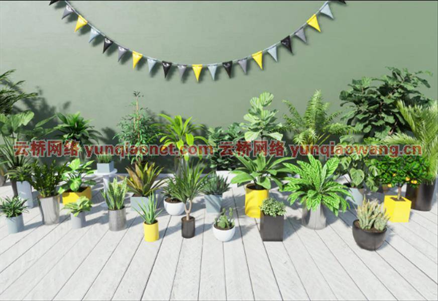 UE商城素材资源 Tropical House Plants 热带室内植物