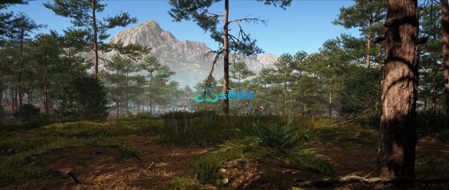 UE资源 Red Pine Biome_云桥网CG资源站