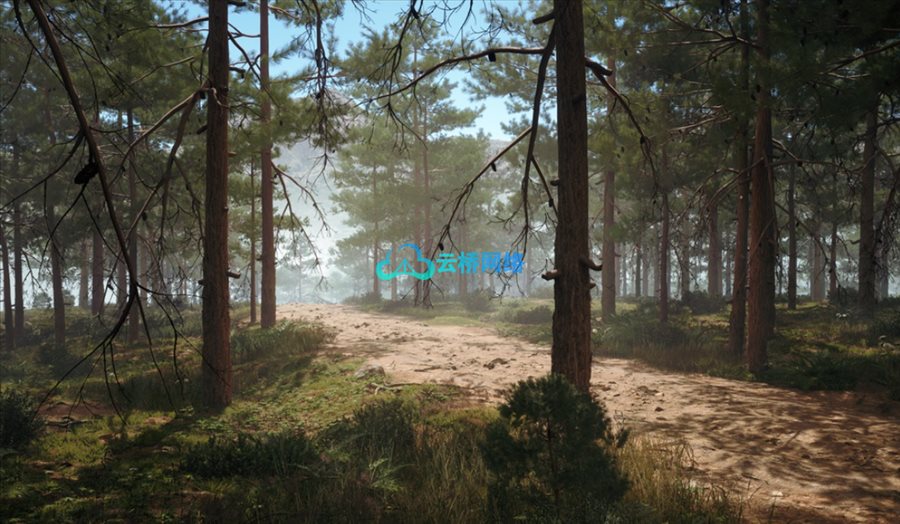 UE资源 Red Pine Biome_云桥网CG资源站