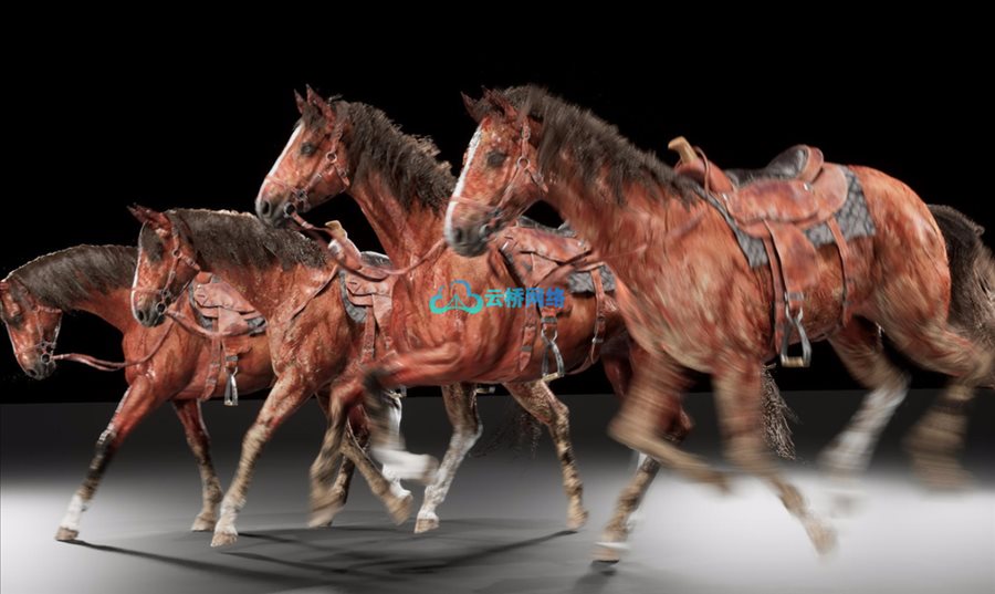 UE逼真马匹模型与动画 Realistic Horse with Animations