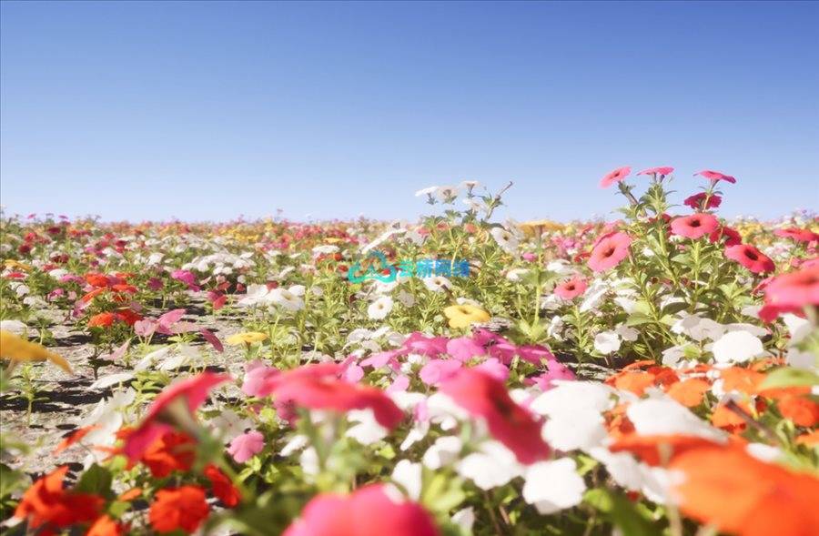 UE资源  Nanite Flower Pack