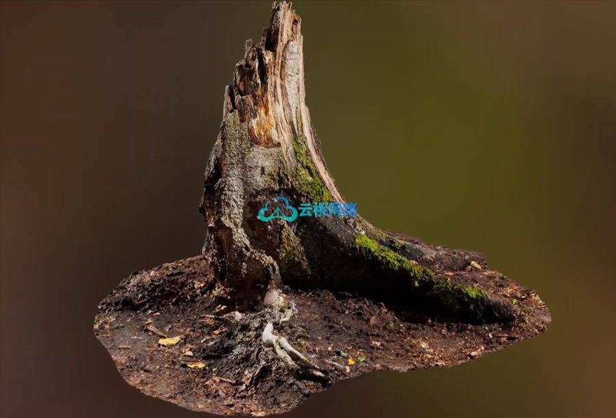 Blender、Maya与Unreal：掌握3D扫描的专业流程