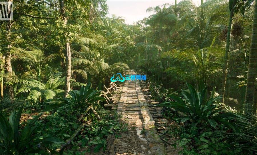 UE资源 MW Tropical Rainforest Trees Biome