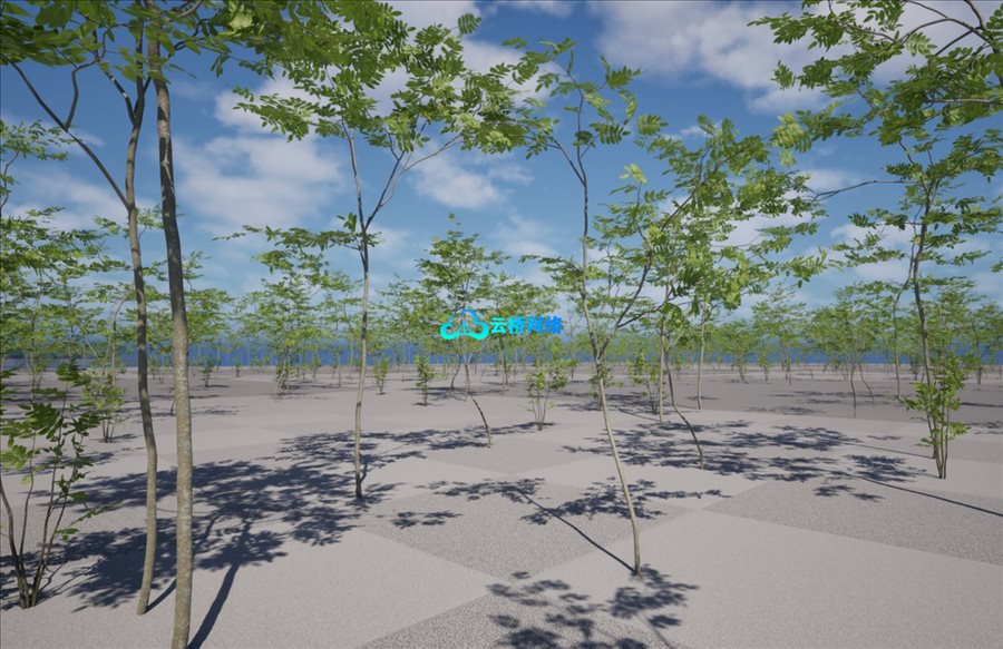 UE植被资产 花椒树苗