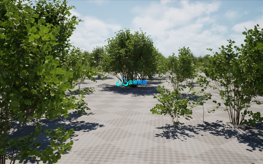 UE程序化植被资产包：欧洲榛