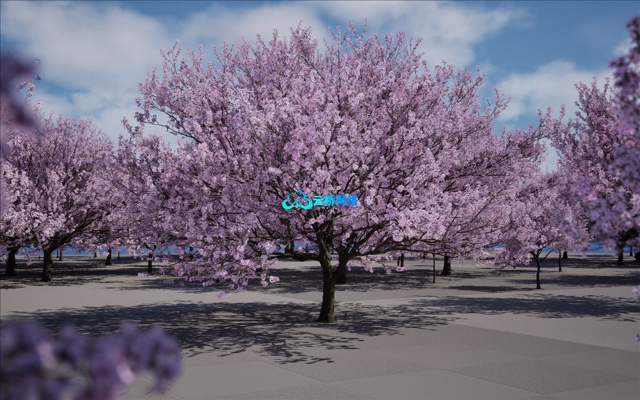 UE樱花树资源 Megaplants: Yoshino Cherry