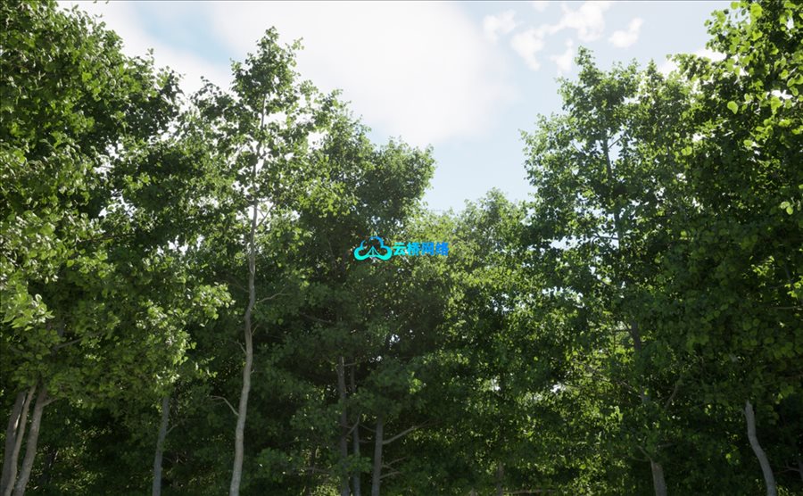 UE植被资产：黑桤木