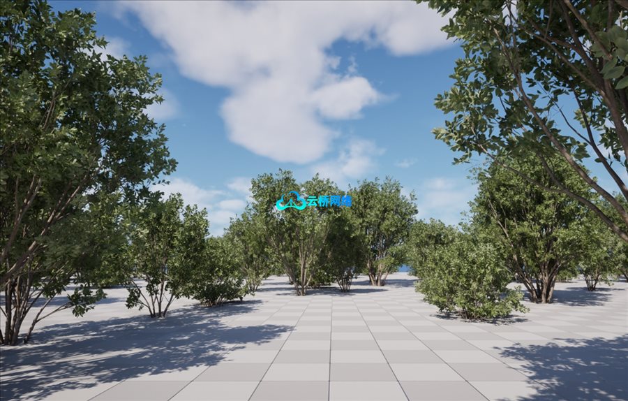 UE植被资源 梅树（Salix caprea）