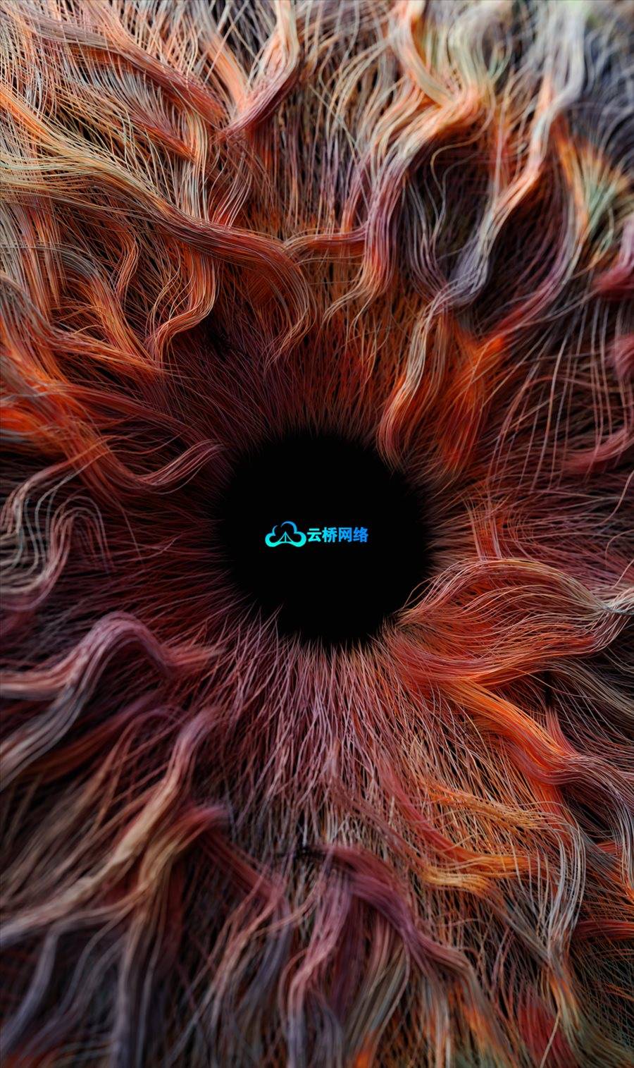 Blender文件-Iris (Blender 4.5 – Cycles)