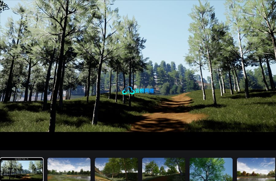 21棵独特树木 – Just Some Trees – P1