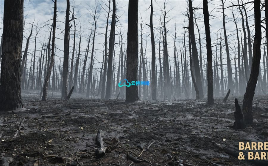 UE商城资源 Burnt Forest Aftermath Environment